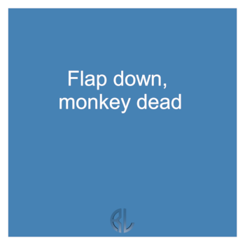 fun_Flap_down_monkey_dead