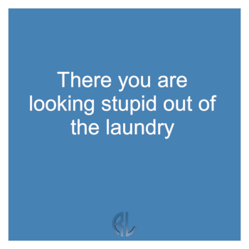 fun_There_you_are_looking_stupid_out_of_the_laundry