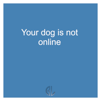 fun_Your_dog_is_not_online